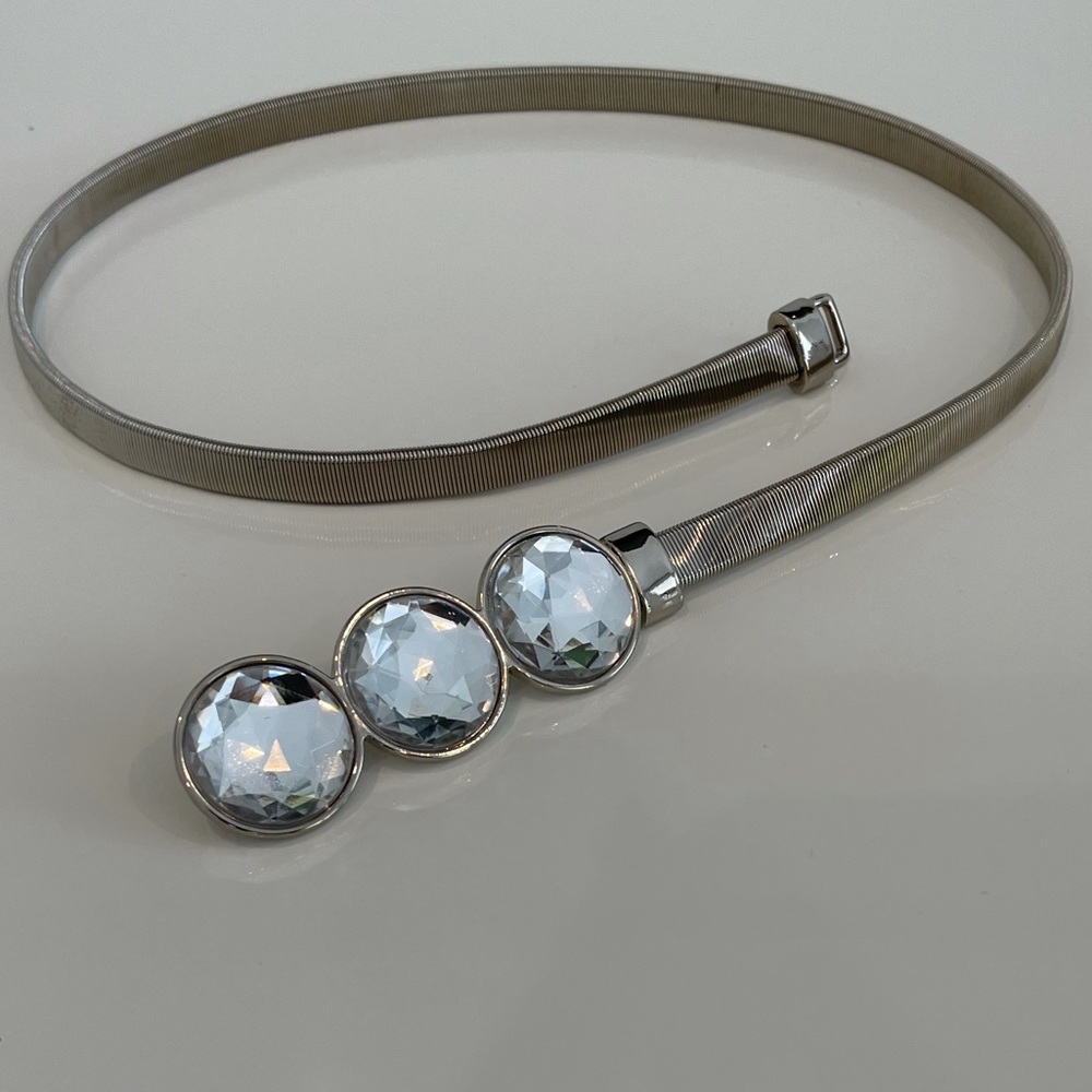 EXPANDABLE SILVER BELT
